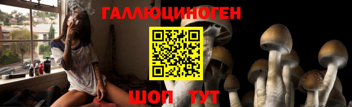 Галлюциногенные грибы Cubensis  Вход с VPN  Курганинск 
